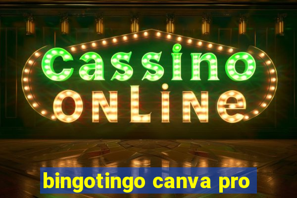 bingotingo canva pro